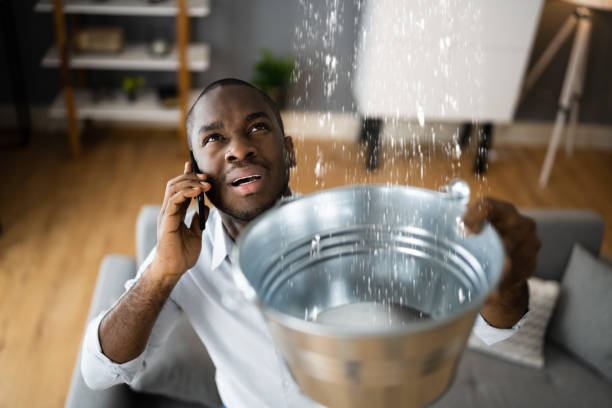 Best Water damage restoration near me  in Lorton, VA