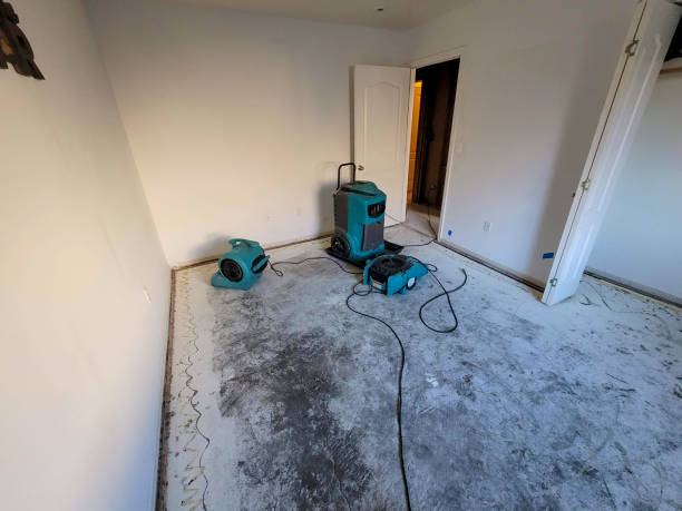 Best Residential water damage restoration  in Lorton, VA