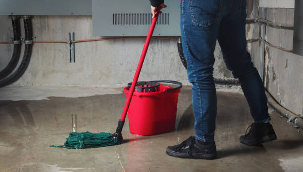  Lorton, VA Water damage restoration Pros