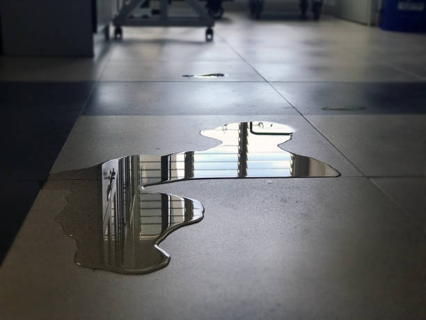 Best 24-hour water damage restoration  in Lorton, VA