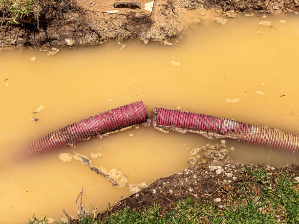 Best Water damage restoration experts  in Lorton, VA